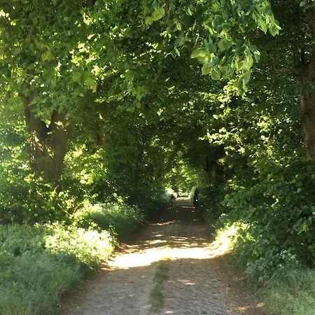 Im Naturschutzgebiet, Mit Schoenem Blick Apartment *