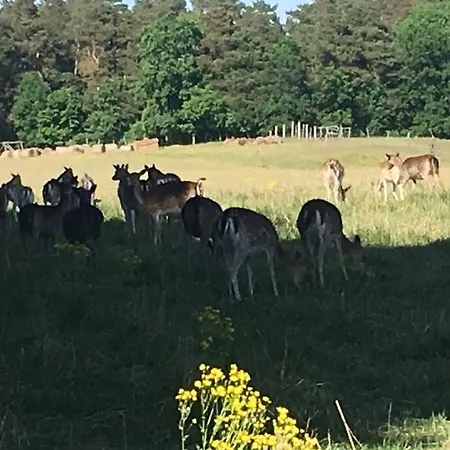 Im Naturschutzgebiet, Mit Schoenem Blick *