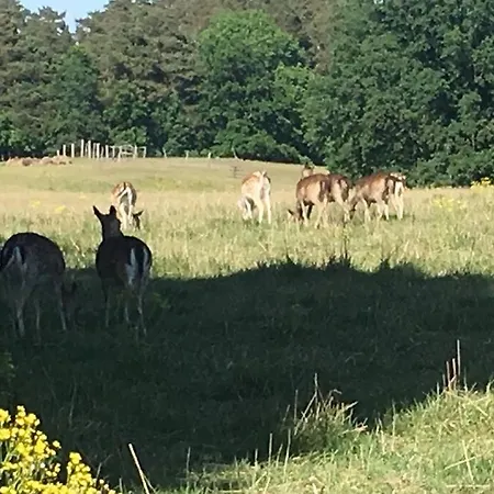 Im Naturschutzgebiet, Mit Schoenem Blick Templin