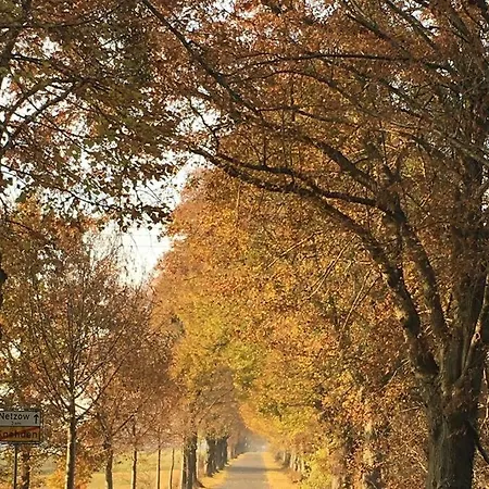 アパート Im Naturschutzgebiet, Mit Grossem Balkon *