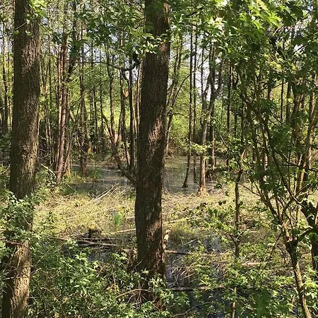 Im Naturschutzgebiet, Mit Schoenem Blick * Templin