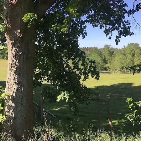 Im Naturschutzgebiet, Mit Schoenem Blick *
